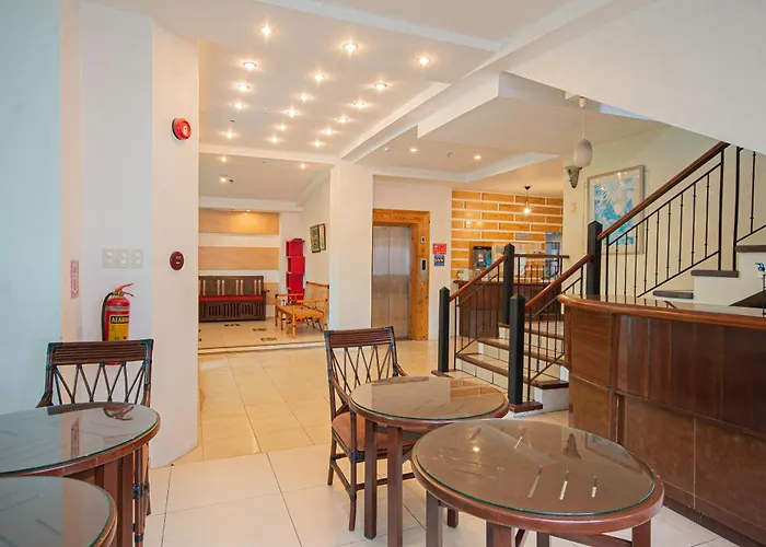 Hotel Oyo 210 Apple Tree 3*