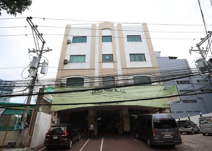 Oyo 210 Apple Tree 3* Cebu